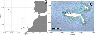 Fecundity, an overlooked life-history trait for coastal management of commercial molluscs?